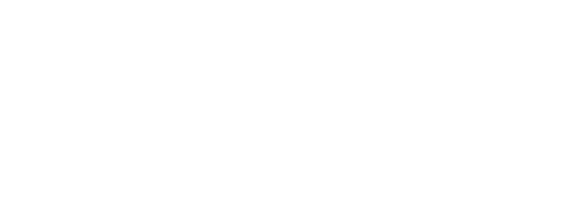 Zenith School of Foreign Languages